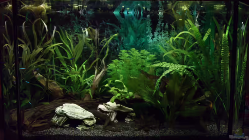 19.12.12 von Stephan Groß (8)