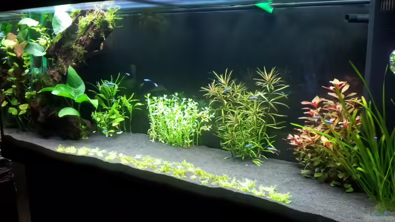 19.12.13 von Terence Hill (3)