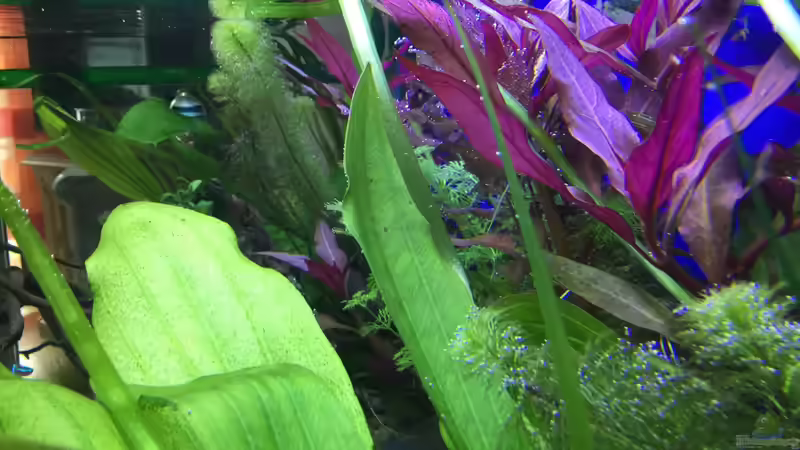 19.12.15 von .Andreas. (27)