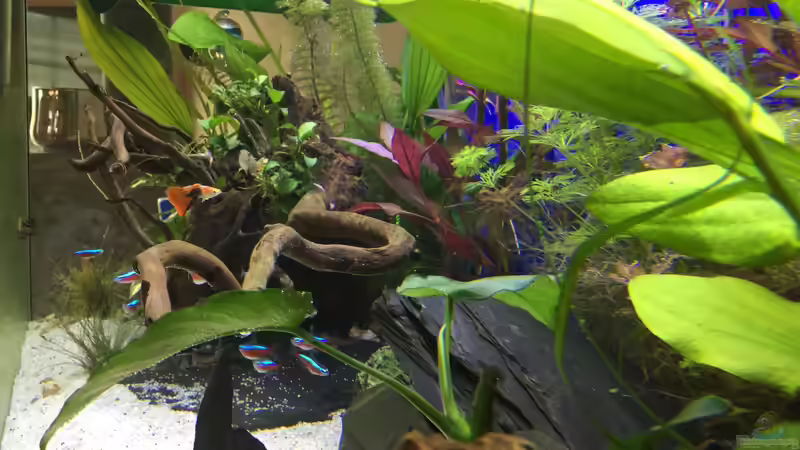 19.12.15 von .Andreas. (60)