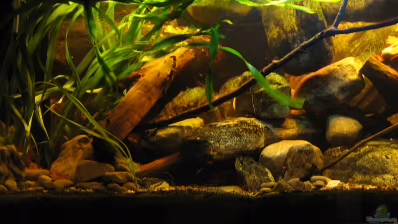 19.12.2013 links-Mitte von der Theoretiker (24)