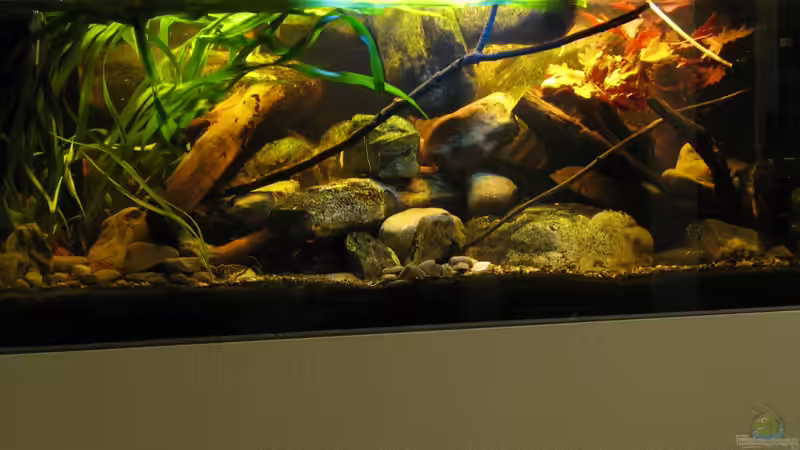 19.12.2013 von der Theoretiker (25)