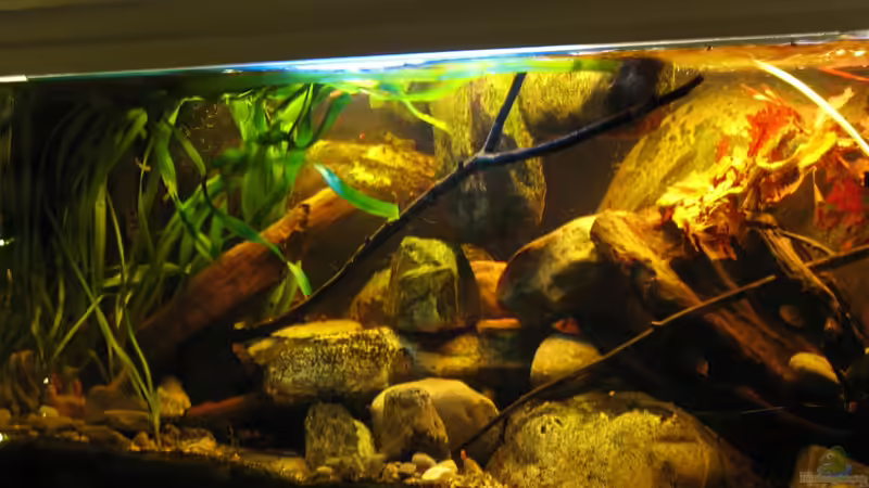 19.12.2013 weiters Feintuning von der Theoretiker (23)