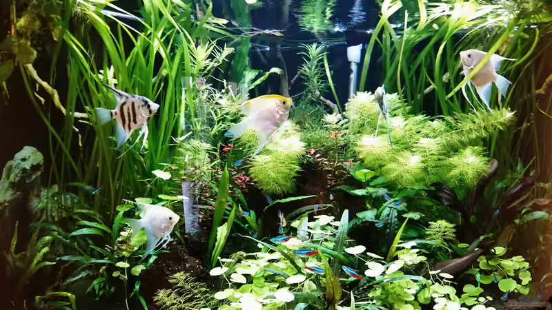 19.12.2018 von Helene (9)