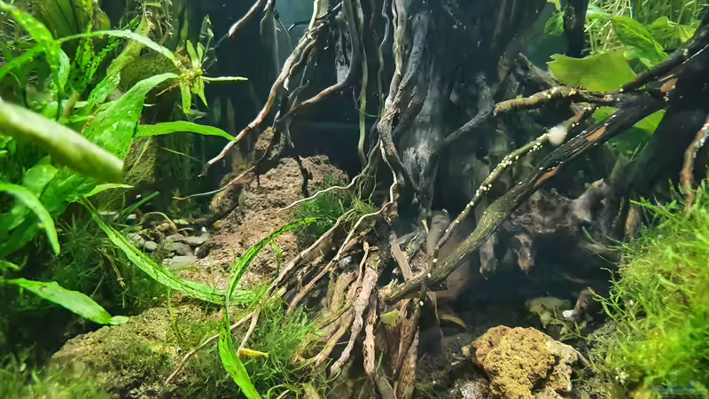 19.12 2021 es folgt noch mehr Feintuning von der Theoretiker (46)