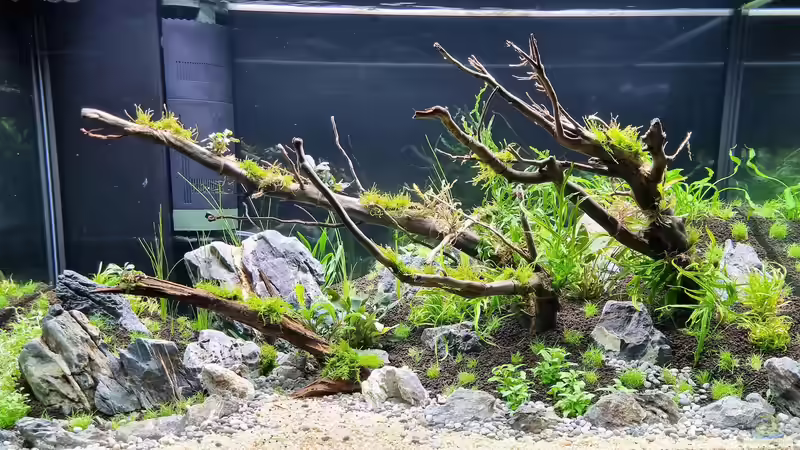 19.12.2021 von Comander (3)