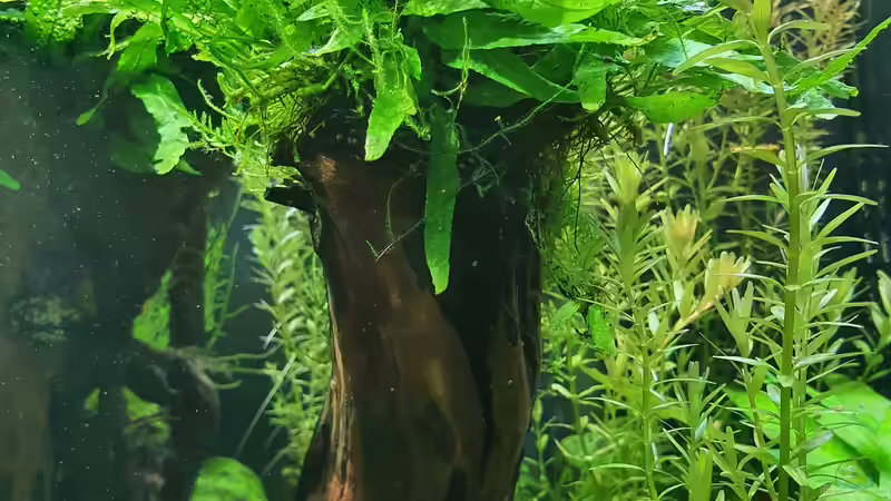 19.12 2021 von der Theoretiker (37)