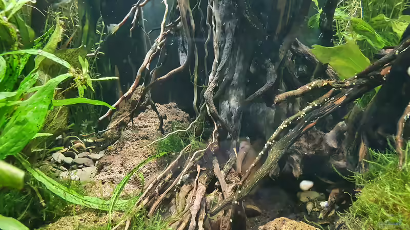 19.12 2021 zentral  von der Theoretiker (45)