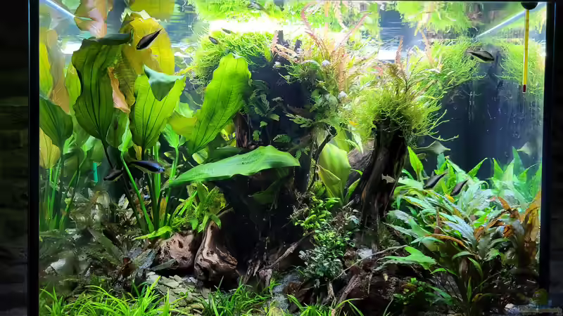 19.12.2022 von der Theoretiker (4)