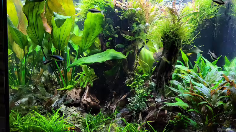 19.12.2022 von der Theoretiker (6)