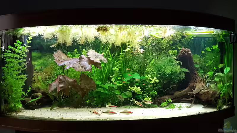 19.4.2019 von Mark1234 (4)