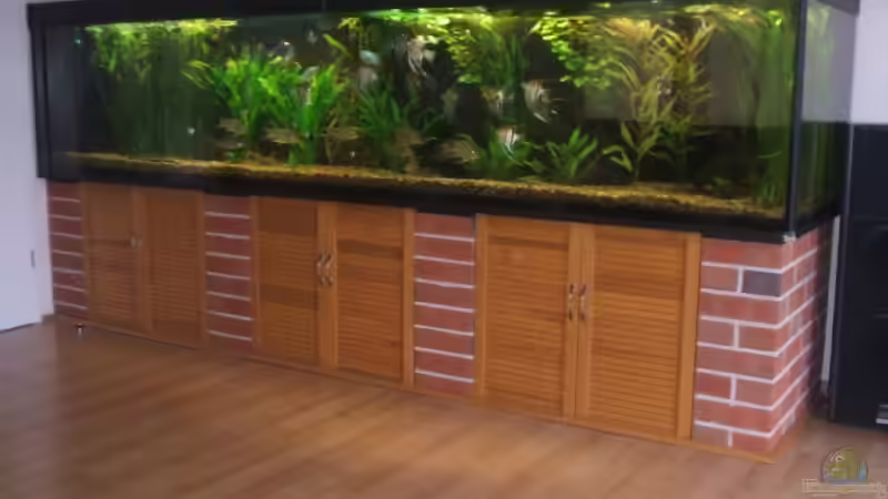 1906 Liter Gesellschaftsbecken von Stefan-HL (1)