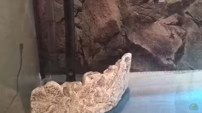 1??berlauf mit boten absaugung  von Lars Ascher (45)