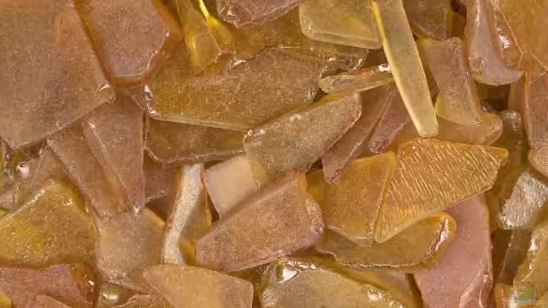 1kg Seeglasscherben sind über den Bodengrund verteilt. von derFalk (1)