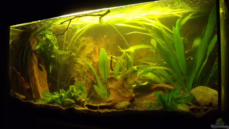 1ster Tag nach einrichtung 09.06.2011 von PH Neutral (2)