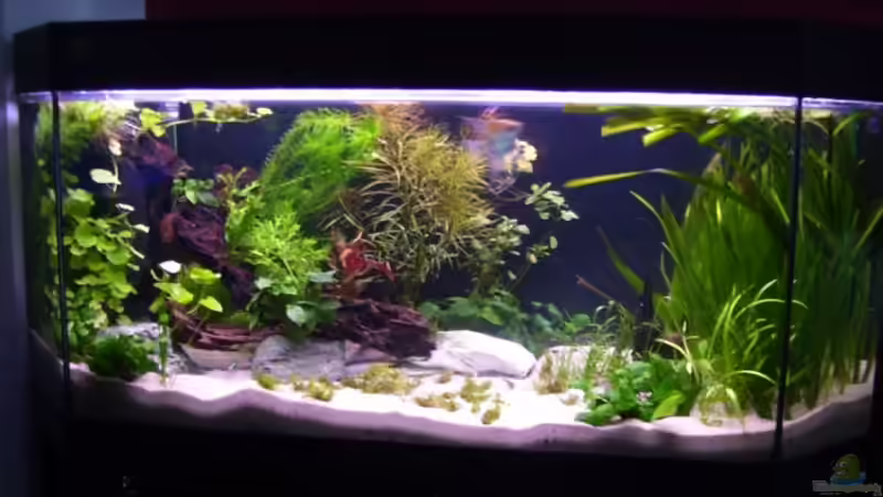 1tag nach der neurinrichtung 31.05.09 von *Andy* (2)