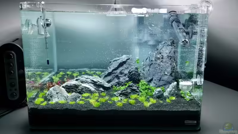 1ter Tag :D von Kai-Uwe M (2)