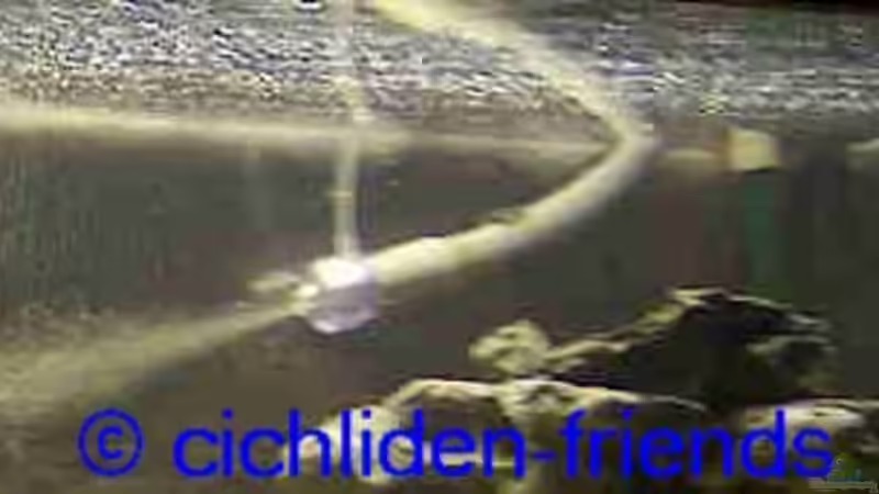 1x Fluval 404 Außenfilter mit Diffusor von Monika Thiele (23)