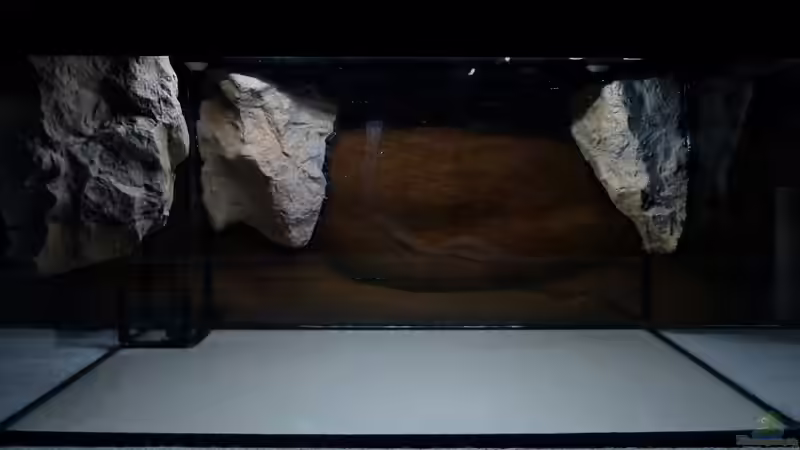 1x50cm LED-Leiste kaltweiß ´Abendbeleuchtung´ von ~Marco~ (35)