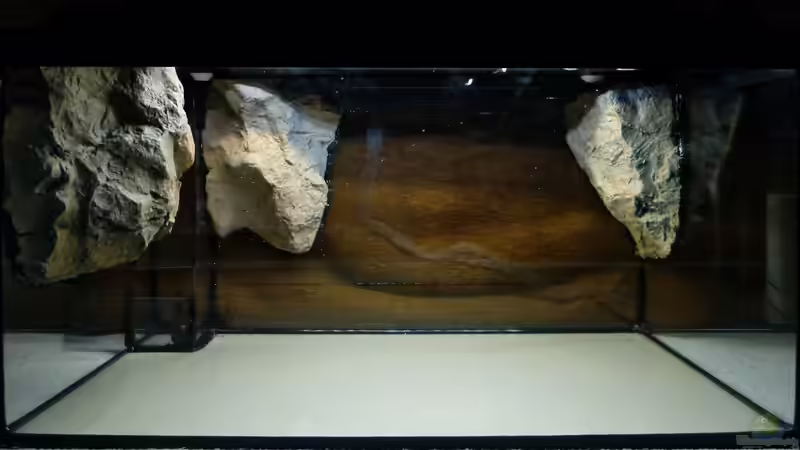 1x50cm LED-Leiste Kaltweiß u. 1x50cm LED-Leiste Warmeiß von ~Marco~ (36)