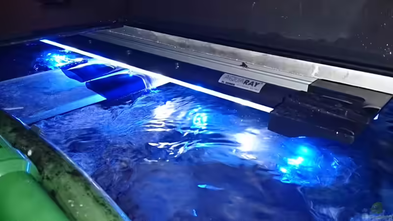 1xSunaeco 600 reefwhite von Florian Suft (14)