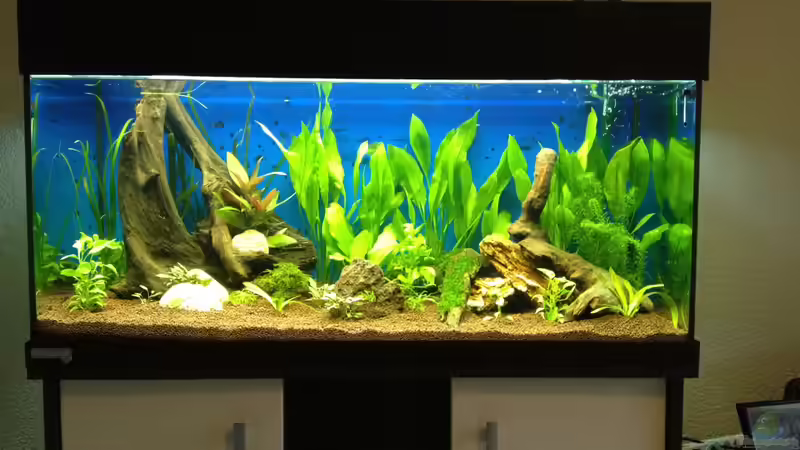 2.. von Tobiaschwilly (3)