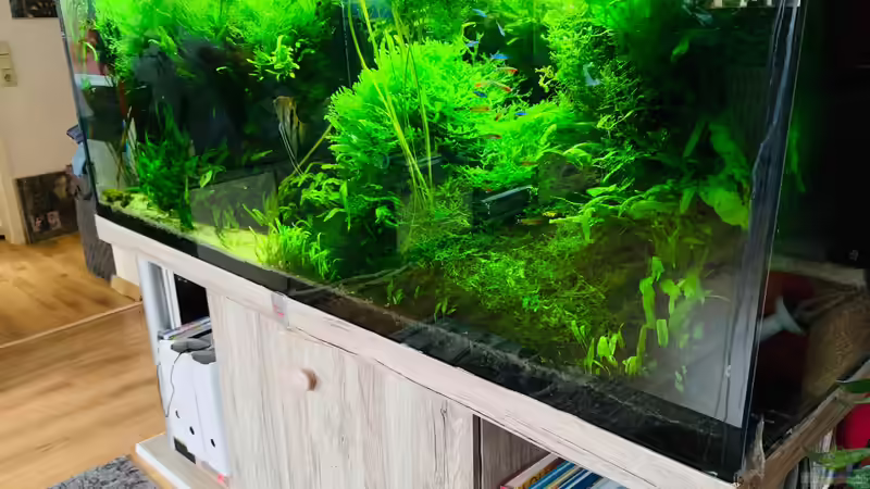 2. April 2020 von signo (1)