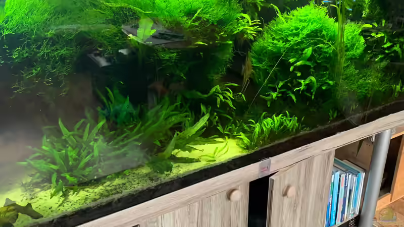 2. April 2020 von signo (7)