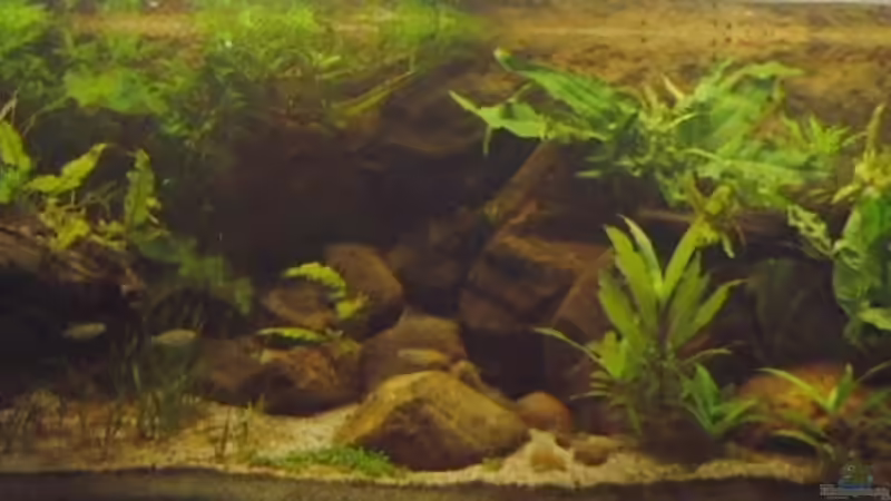 2. Gesamtansicht von Sebastian.. (3)