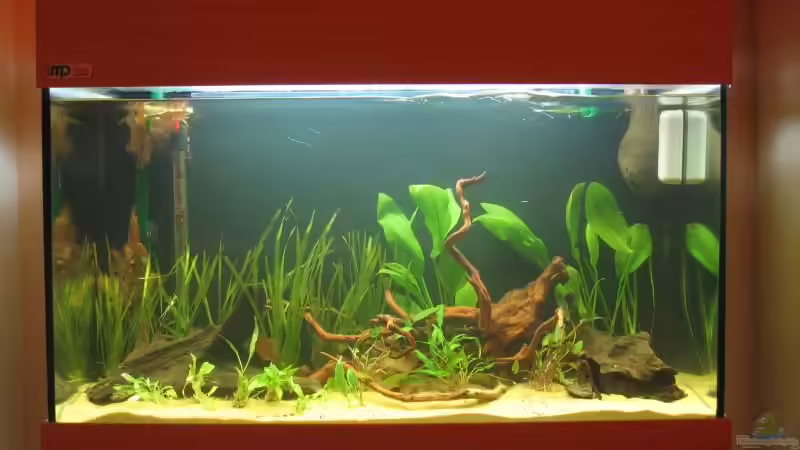 2. Januar 2007 von Marc Große-Allermann (3)