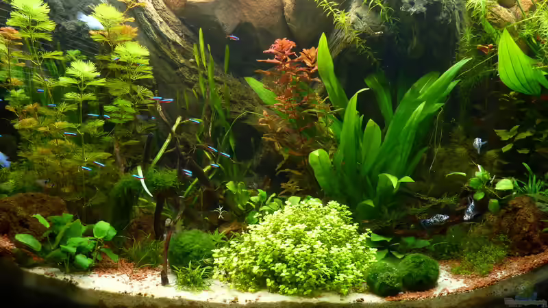 2  Monate von Stefan Runke (3)