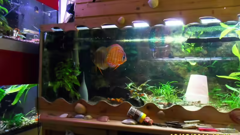 2. Pärchen im Wasseraufbereitungsraum von Ulrich Sauerhering (48)