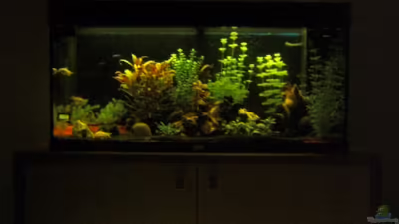 2. Stufe der Nachtschaltung von BaniW (5)