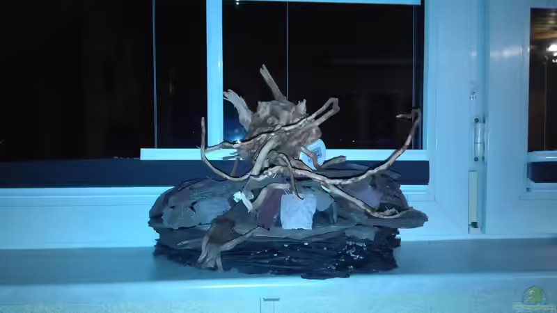 2. Stufe der Schieferterasse nach Fertigstellung. von AdrianSoS (38)