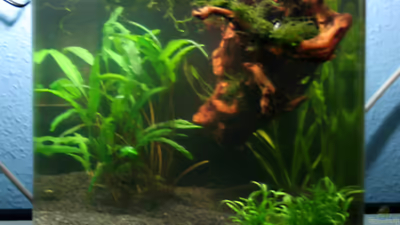 2. Tag Front von gezina (4)