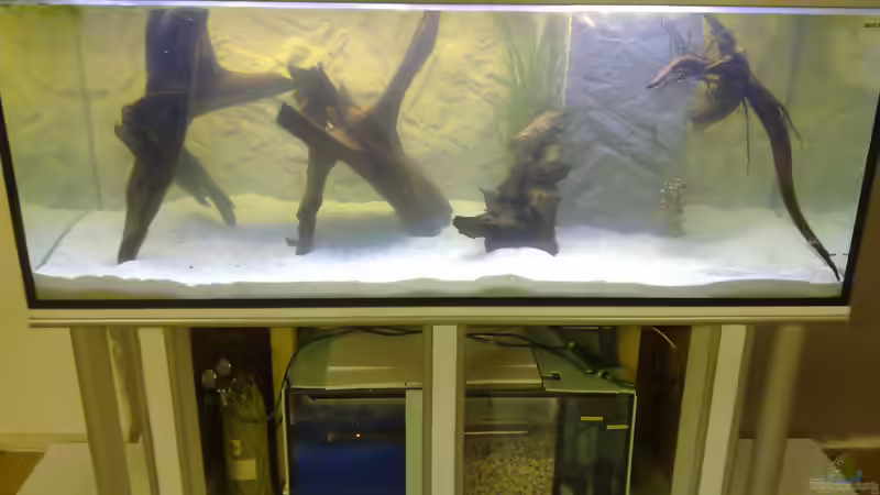 2. Tag nach befüllen von Steven Tumma (13)