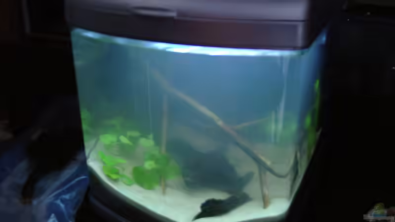 2. Tag von Mario74 (2)