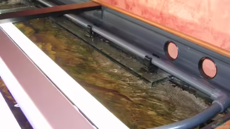 2. ter Auslauf über dem Steg  von Robert Malcharczik (10)