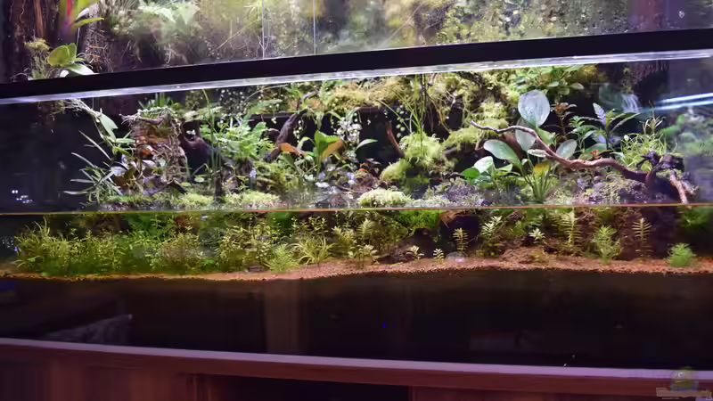 2. Umgestaltung mit neuem Wasserteil am 23.10.2017 von Junglist (70)