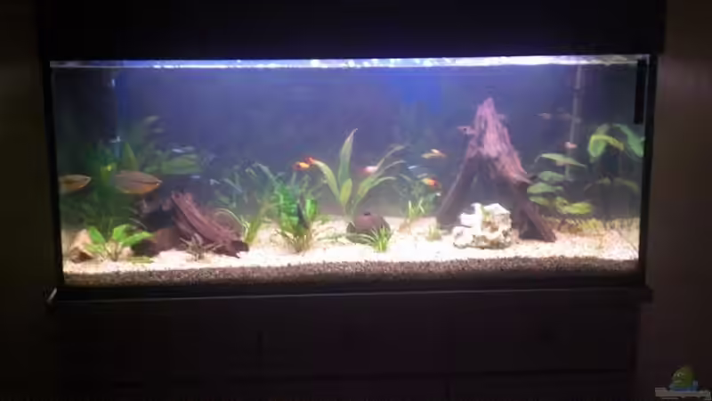 2. Versuch von ActionJackson (1)