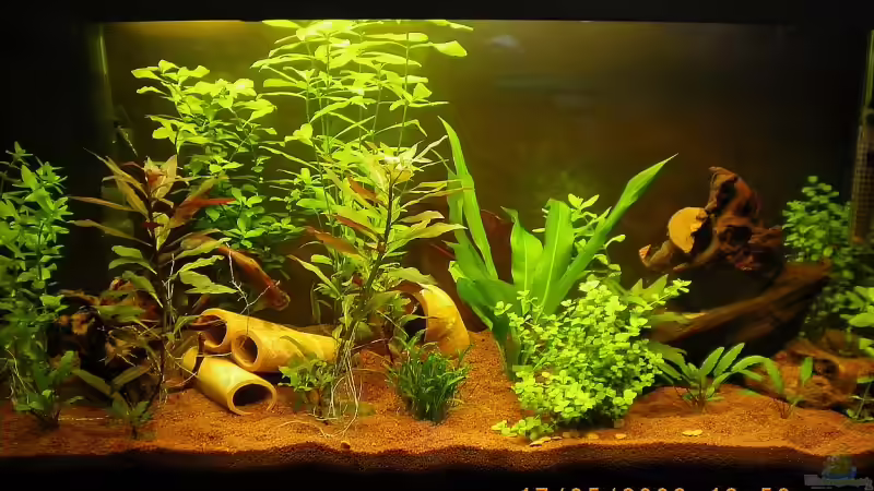 2. Woche des Einlaufens von Manuel Well (5)