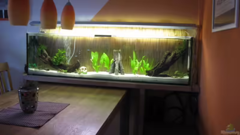 2.1.2011 von Andrea (23)