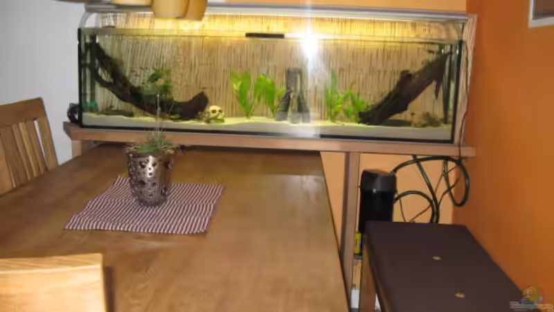 2.1.2011 von Andrea (25)