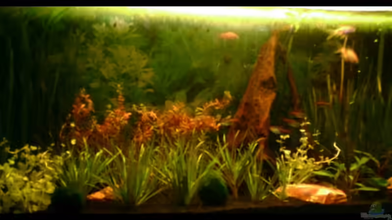 2.2.07 von Nicole Helal (4)