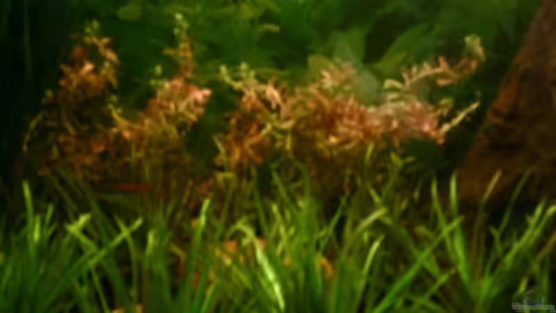 2.2.07 von Nicole Helal (6)