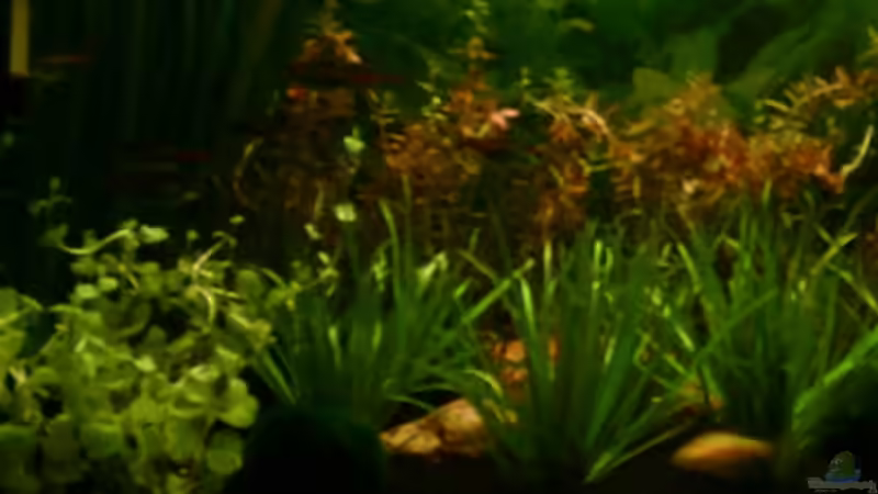 2.2.07 von Nicole Helal (7)