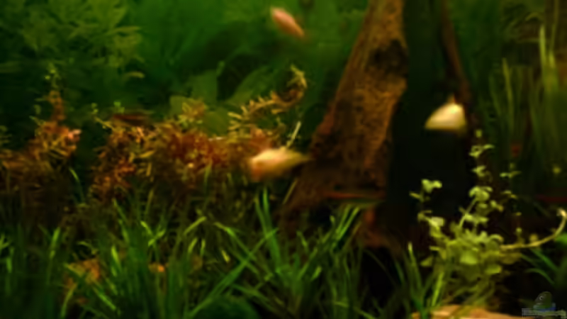 2.2.07 von Nicole Helal (8)