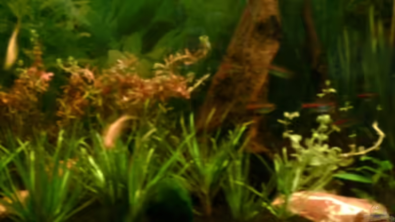 2.2.07 von Nicole Helal (9)