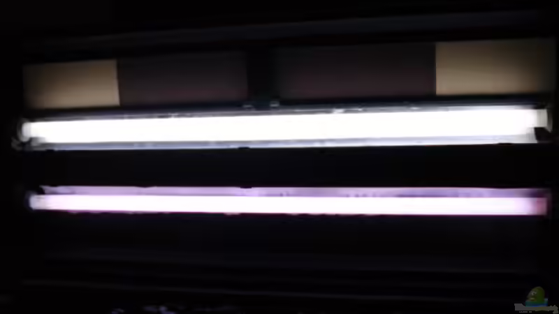 2 30W Röhren  von Lukas Szewczyk (12)