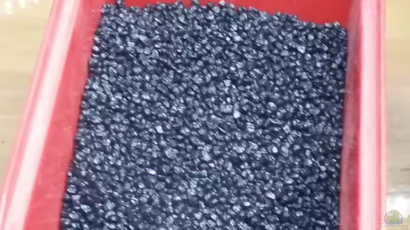 2-3mm Kies Schwarz bei 100% Beleuchtung von Rotkopfsalmler (15)